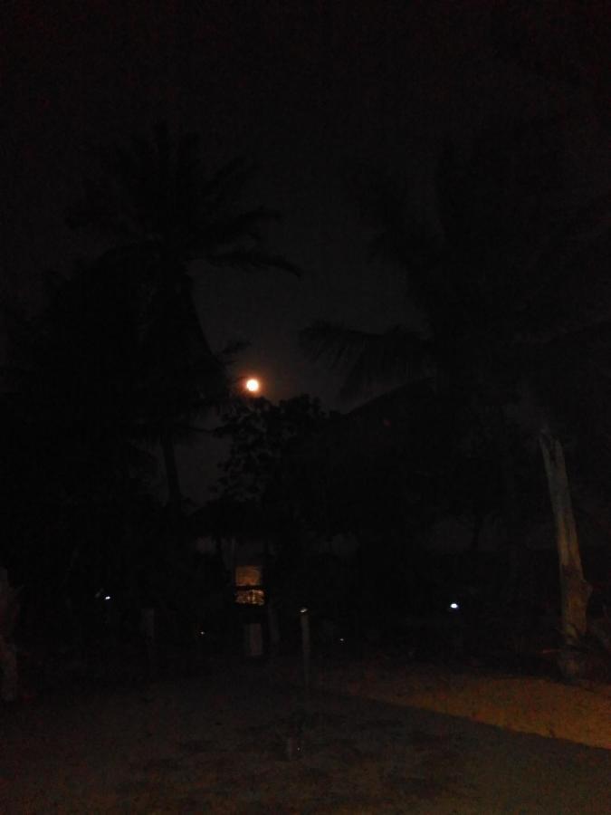 Asari Timo Cottage การีมุนยาวา ภายนอก รูปภาพ