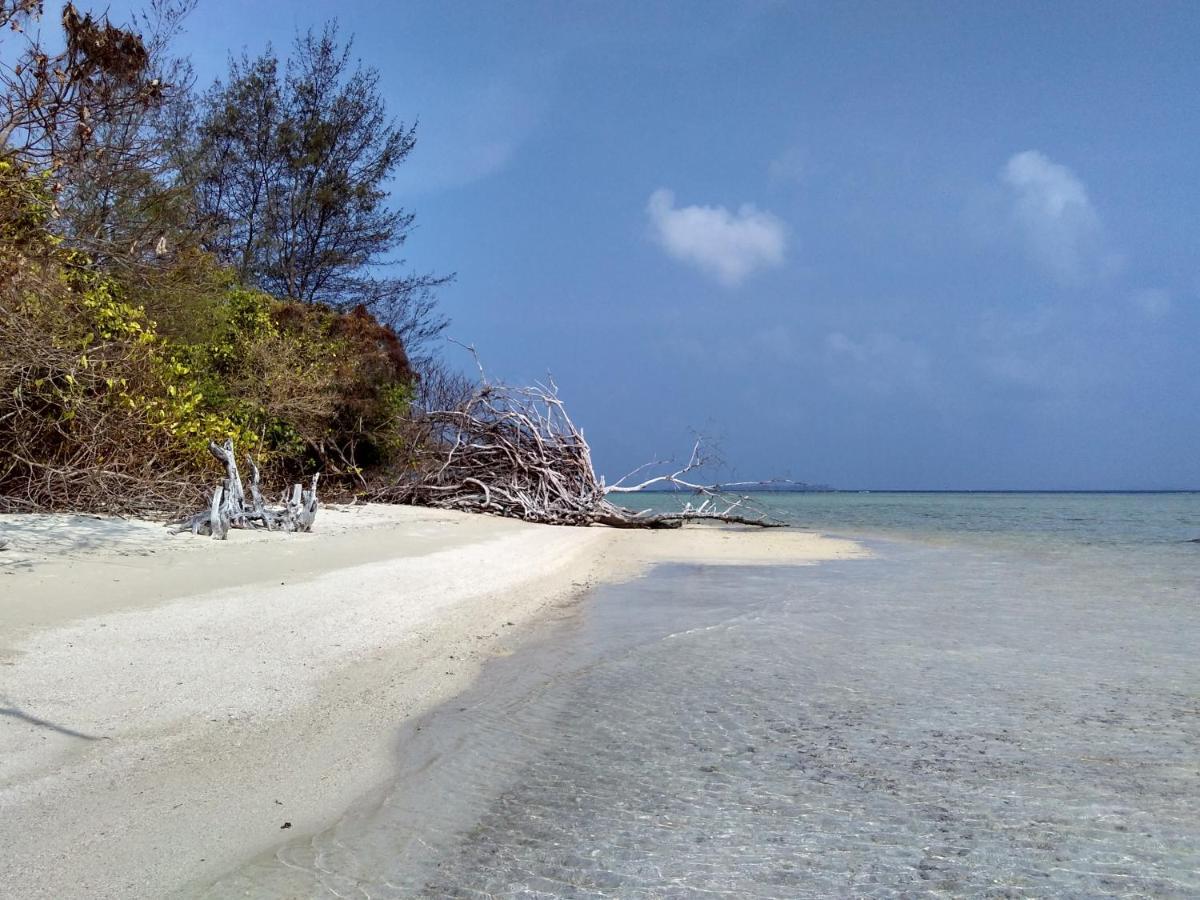 Asari Timo Cottage การีมุนยาวา ภายนอก รูปภาพ